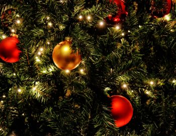 Christmas Tree Lights