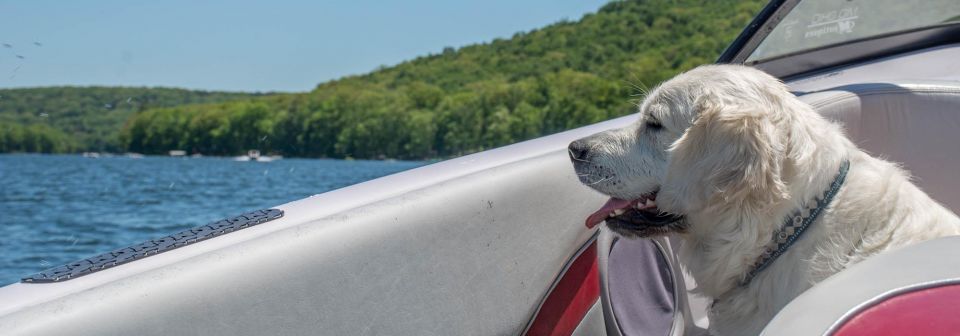 Dog on Boat at Deep Creek Lake