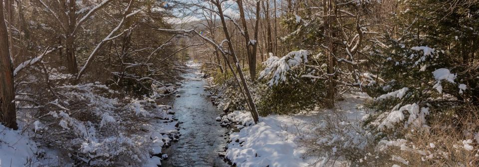 Hiking Trail by Deep Creek Lake