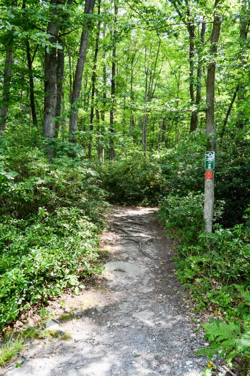 Trailhead at Fork Run Recreation Area Deep Creek MD Trailhead at Fork Run Recreation Area Deep Creek Lake MD