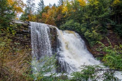 swallow falls in maryland