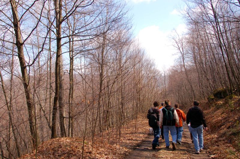 Hiking at Deep Creek Lake